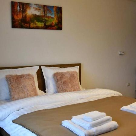 Pricop Residence Baia Mare Extérieur photo