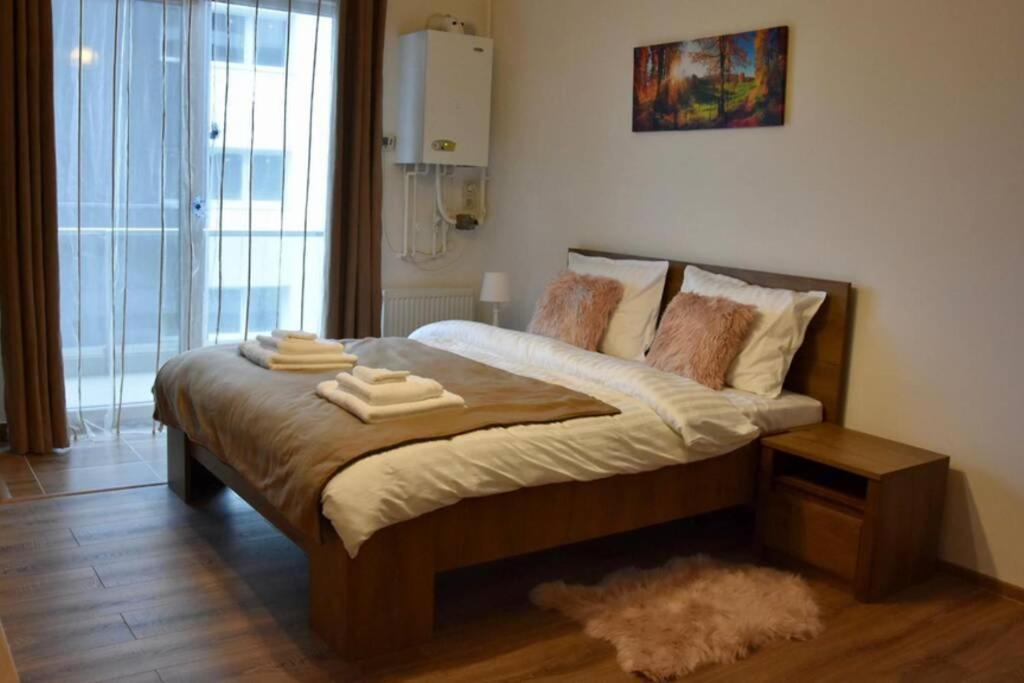 Pricop Residence Baia Mare Extérieur photo