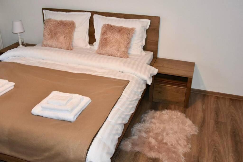 Pricop Residence Baia Mare Extérieur photo