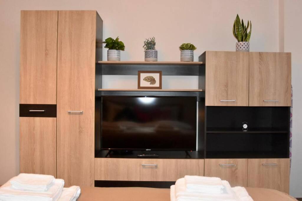 Pricop Residence Baia Mare Extérieur photo