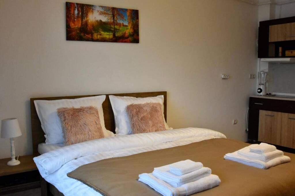 Pricop Residence Baia Mare Extérieur photo
