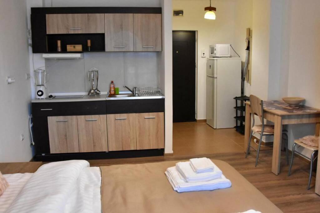 Pricop Residence Baia Mare Extérieur photo